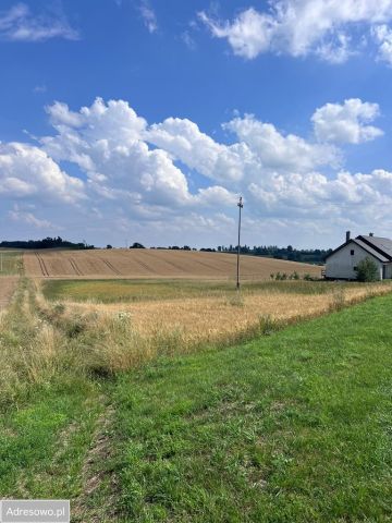 Działka budowlana Kozielec. Zdjęcie 1