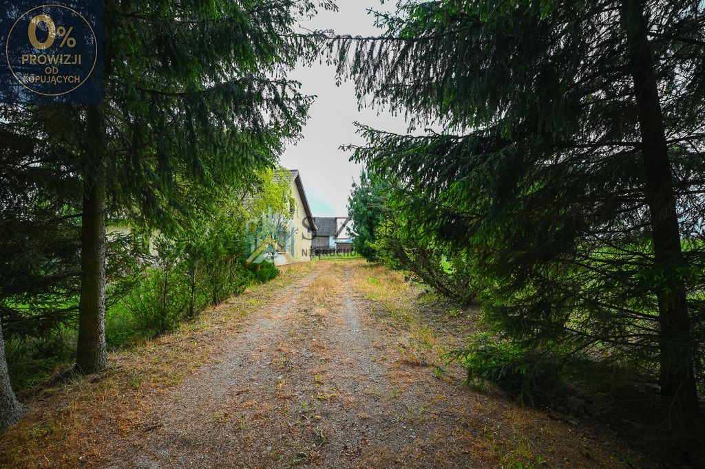 siedlisko, 3 pokoje Krejwiany. Zdjęcie 5