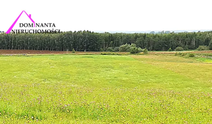 Działka rolna Gronowo