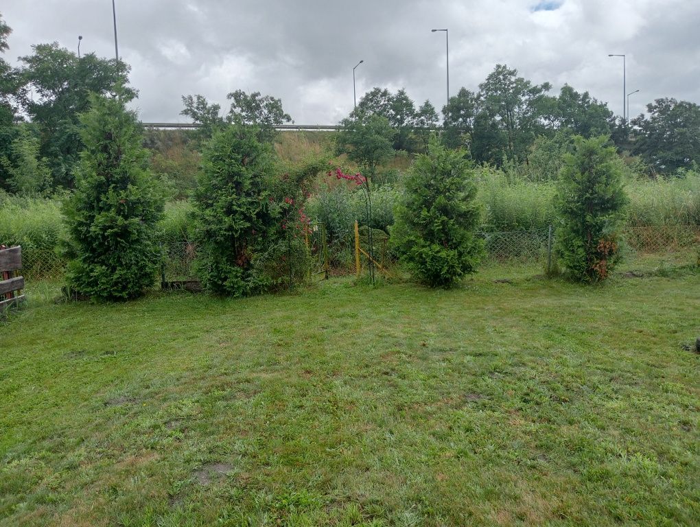 Działka rod Gorzów Wielkopolski, ul. Marcina Kasprzaka. Zdjęcie 4