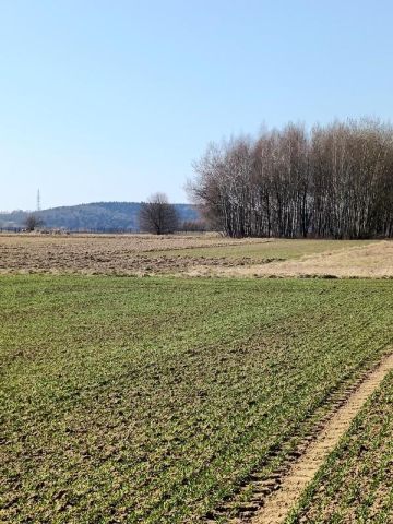 Działka budowlana Świerzowa Polska. Zdjęcie 9