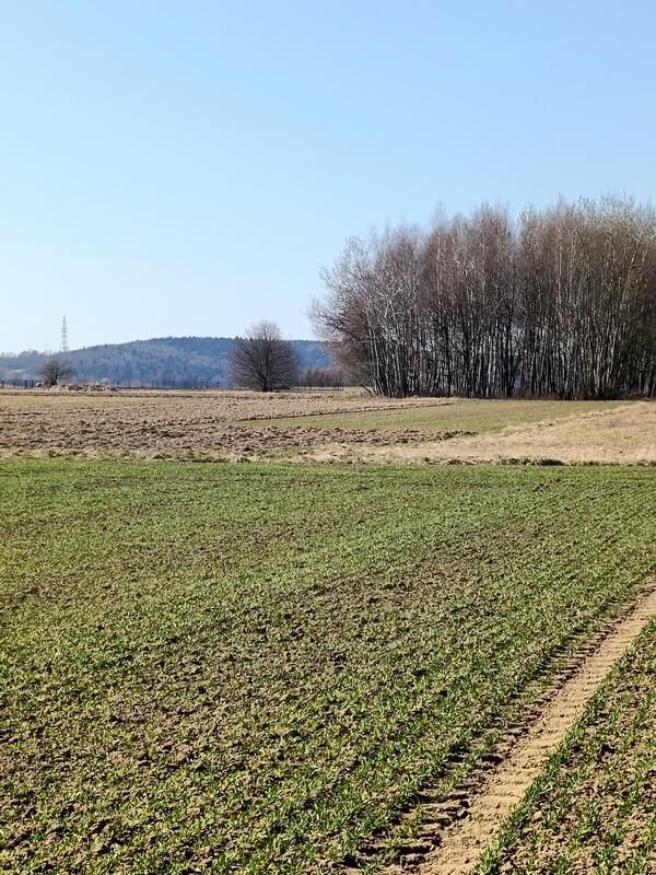 Działka budowlana Świerzowa Polska. Zdjęcie 9