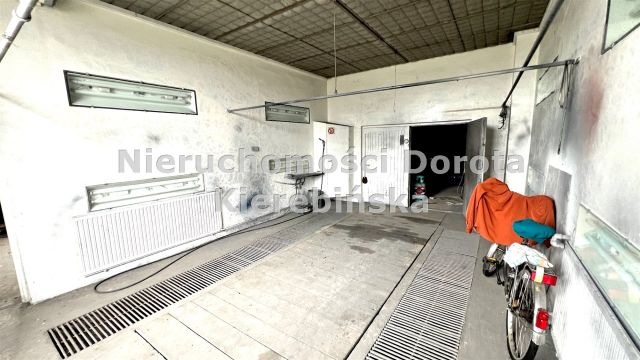 Działka Polichno. Zdjęcie 8