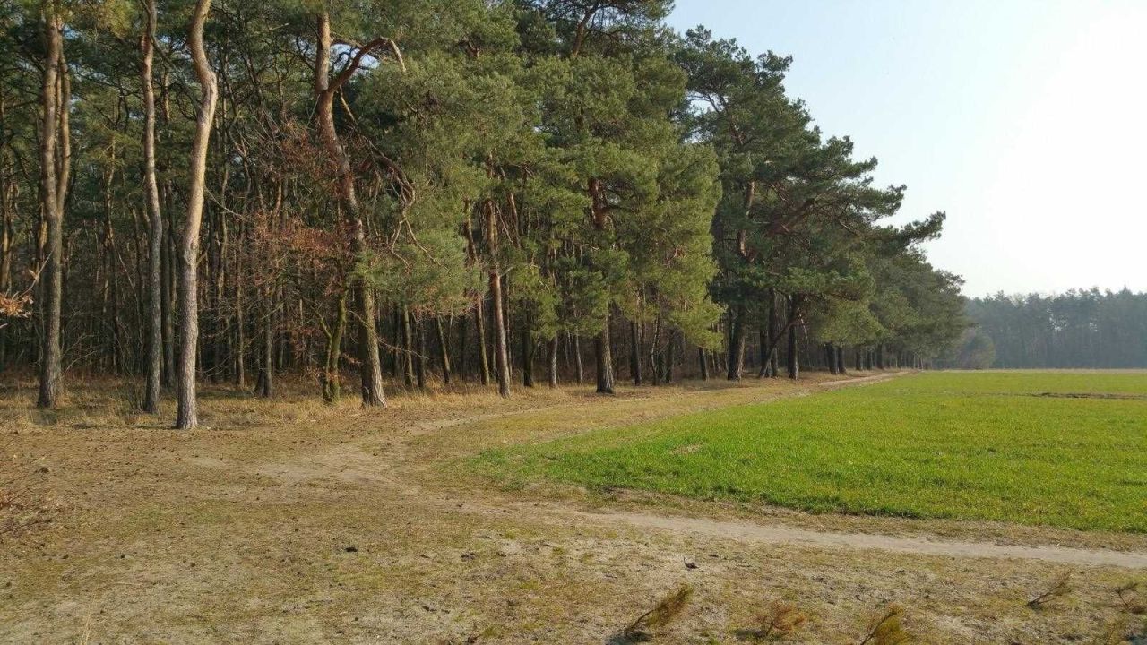 Działka budowlana Powiercie. Zdjęcie 2