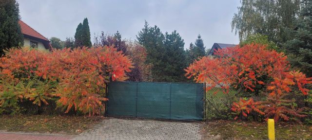 Działka budowlana Puławy Mokradki, ul. Leopolda Okulickiego. Zdjęcie 1