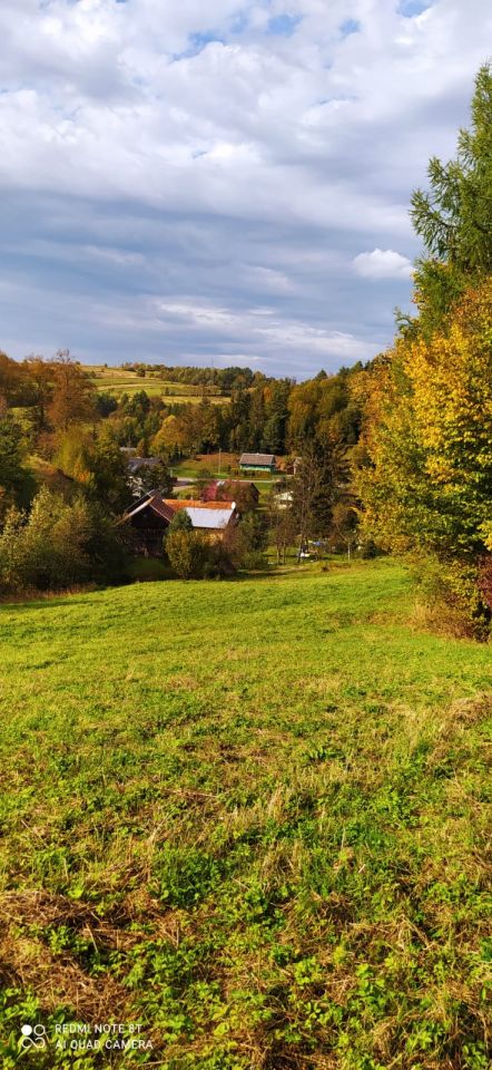 Działka rolna Korzeniec