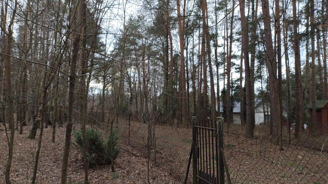 Działka budowlana Zofiówka, ul. Cmentarna. Zdjęcie 9