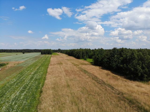 Działka budowlana Jędrzejnik. Zdjęcie 1