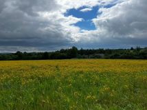 Działka budowlana Starków. Zdjęcie 2