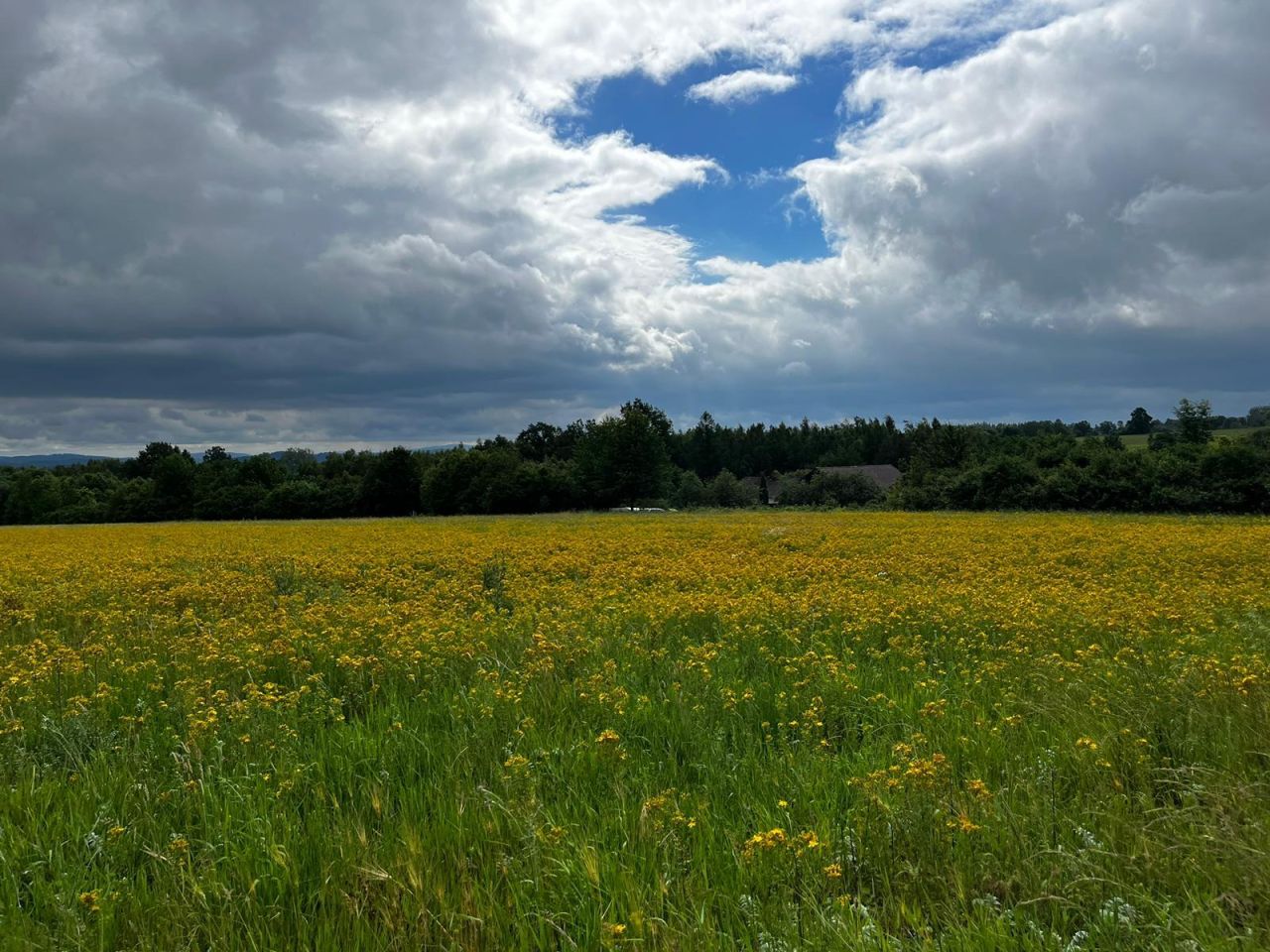 Działka budowlana Starków. Zdjęcie 3