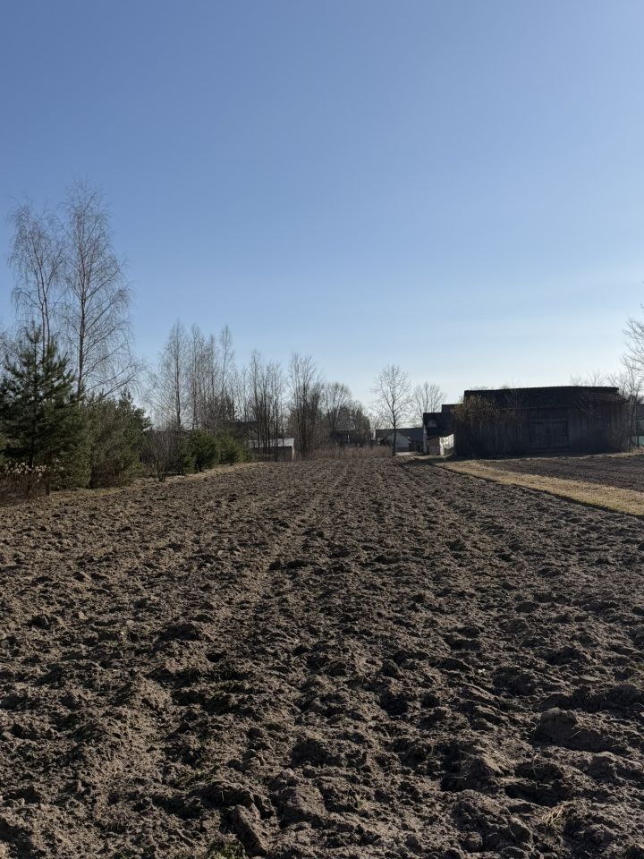 Działka rolno-budowlana Lipiny Dolne Kawęczyna, Lipiny Dolne. Zdjęcie 3