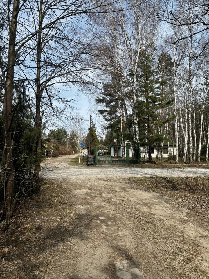 Działka leśna Nowy Prażmów, ul. Leśna. Zdjęcie 6