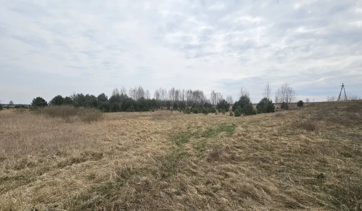 Działka rolna Nowy Dwór
