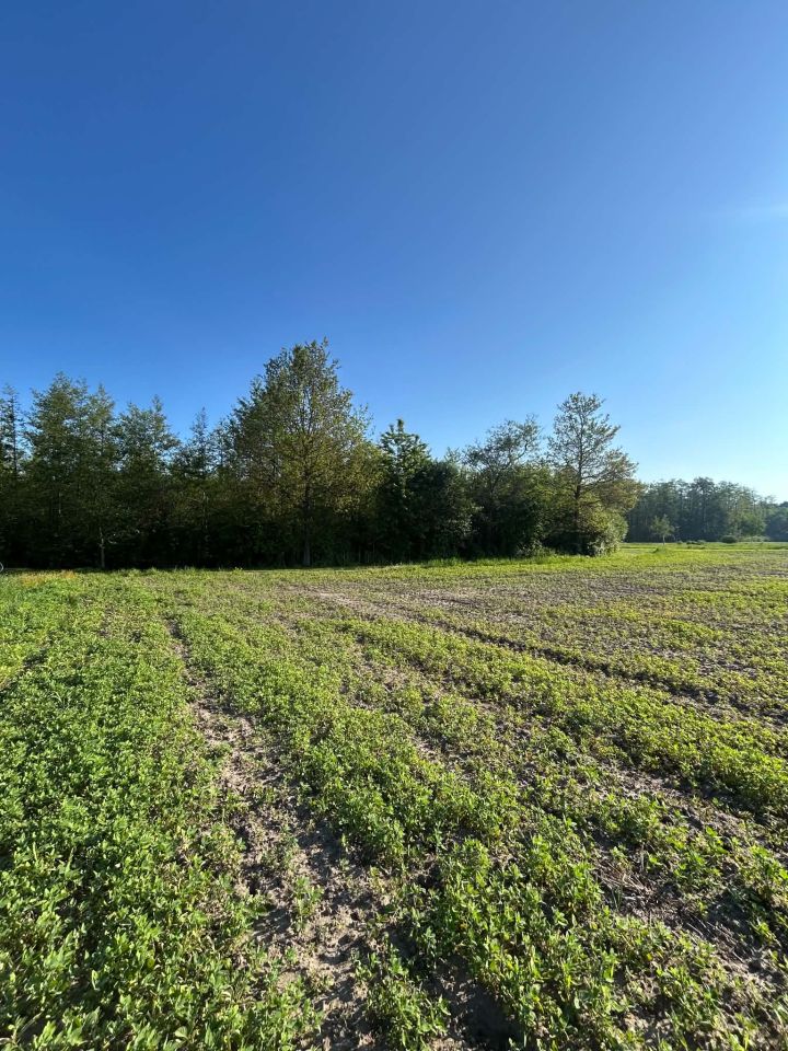 Działka budowlana Załuże. Zdjęcie 1
