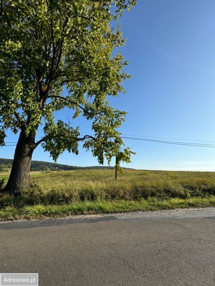 Działka budowlana Lipinki. Zdjęcie 2