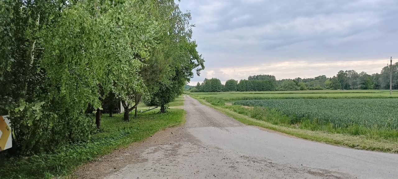 Działka siedliskowa Skomorochy Duże. Zdjęcie 5