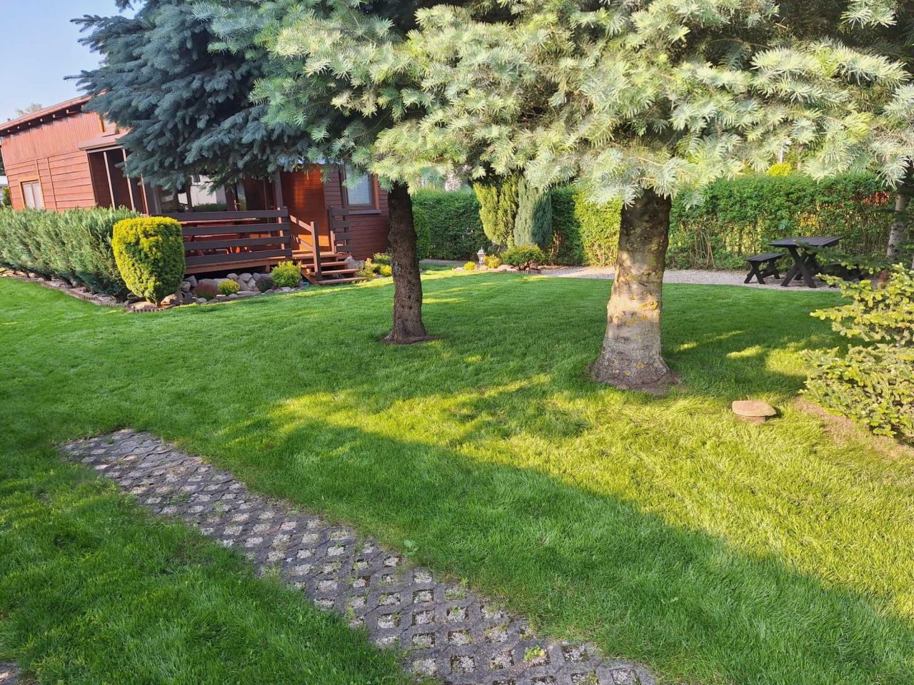 Działka rod Wudzyn. Zdjęcie 3