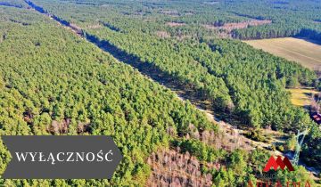 Działka leśna Bobrownickie Pole