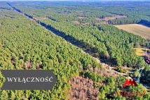 Działka leśna Bobrownickie Pole