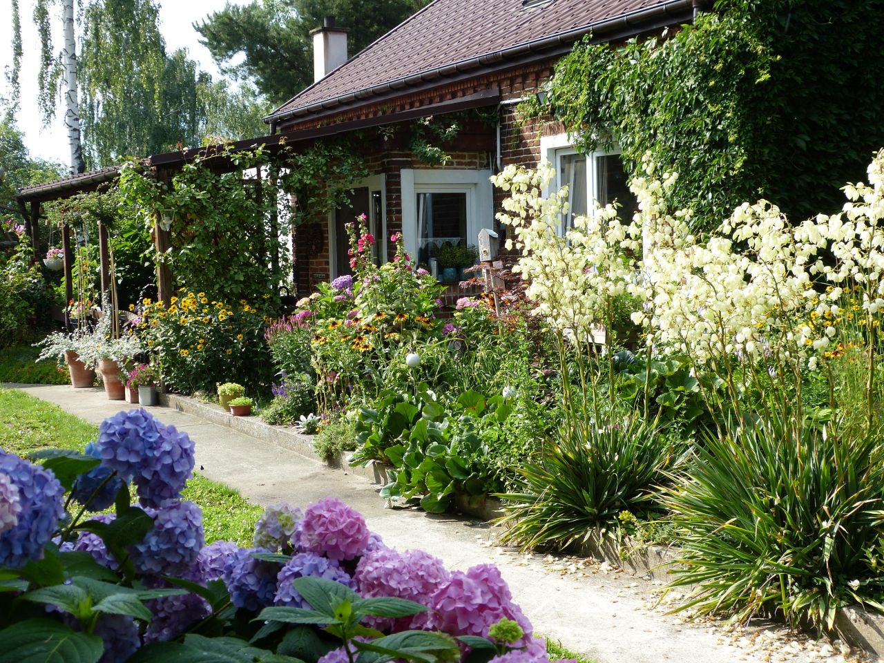 siedlisko, 4 pokoje Kikół-Wieś, Kikół-Wieś. Zdjęcie 9