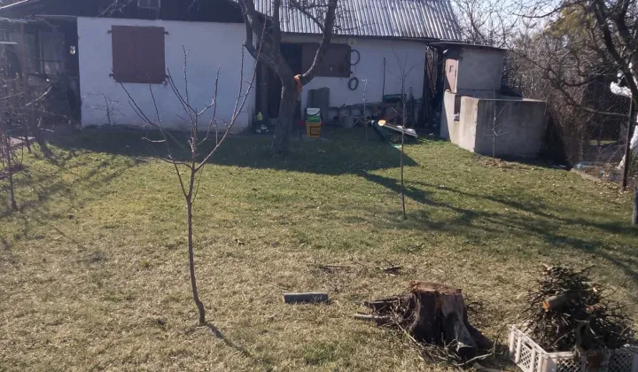 Działka rod Opole, ul. Ludwika Solskiego