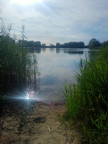 Działka rolno-budowlana Bereza. Zdjęcie 1