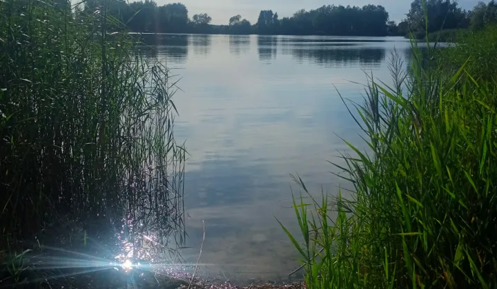 Działka rolno-budowlana Bereza