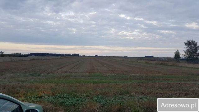 Działka inwestycyjna Radawczyk-Kolonia Pierwsza. Zdjęcie 1