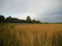 Działka rolna Sokółka, ul. gen. Jana Henryka Dąbrowskiego. Zdjęcie 1