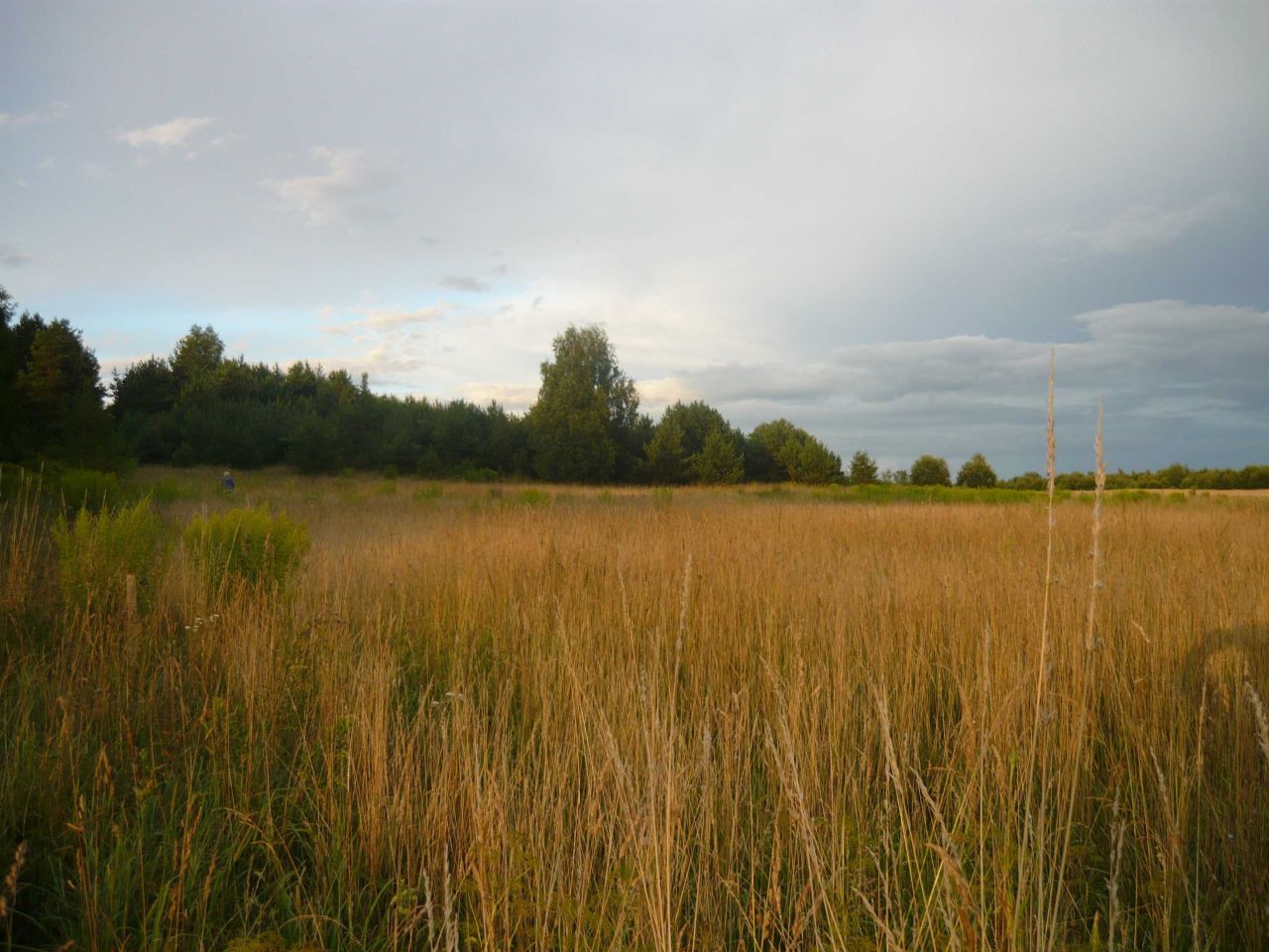 Działka rolna Sokółka, ul. gen. Jana Henryka Dąbrowskiego. Zdjęcie 2