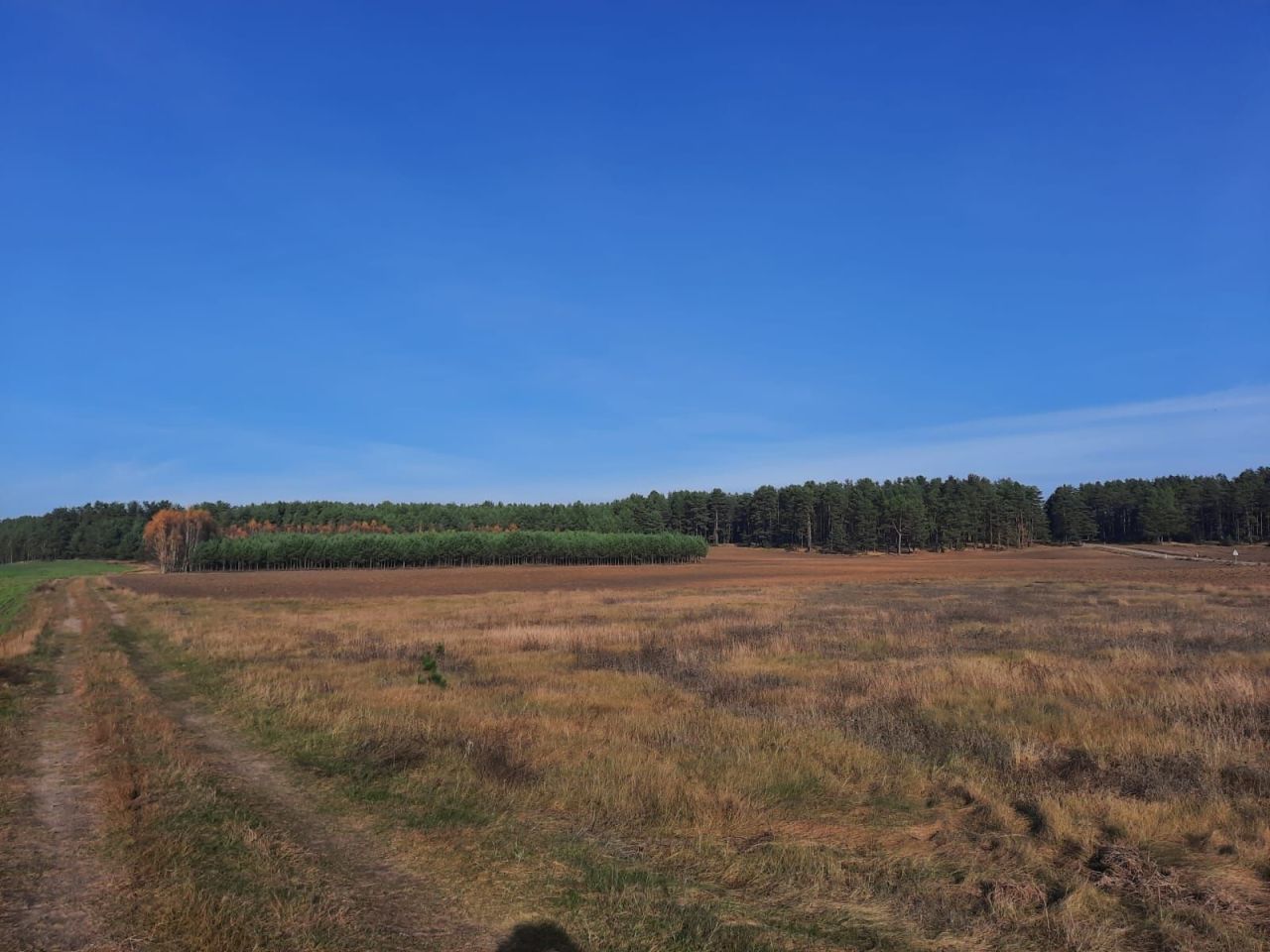 Działka inwestycyjna Luboń. Zdjęcie 3
