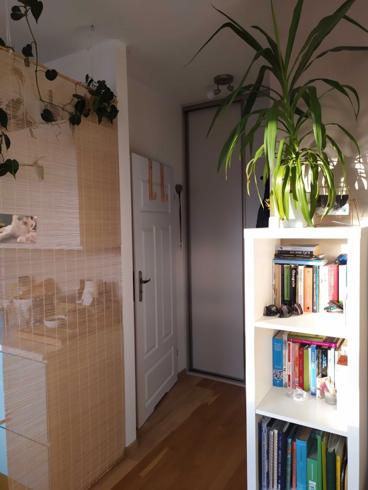 Mieszkanie 1-pokojowe Łódź Olechów. Zdjęcie 3