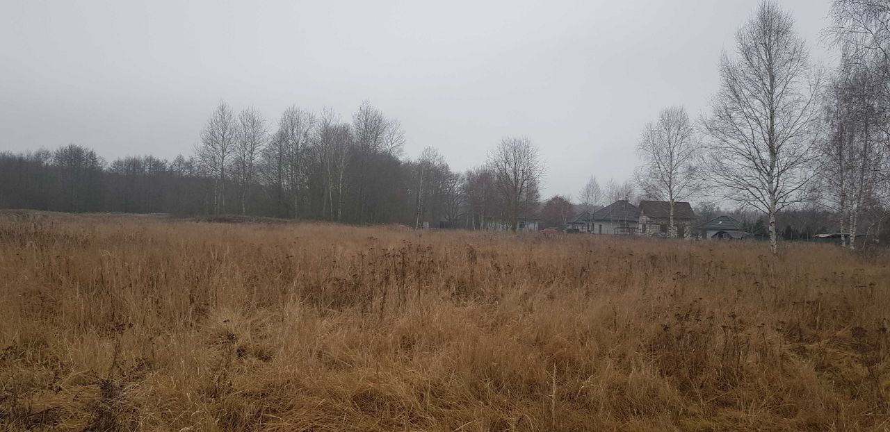 Działka budowlana Jodłowice. Zdjęcie 5