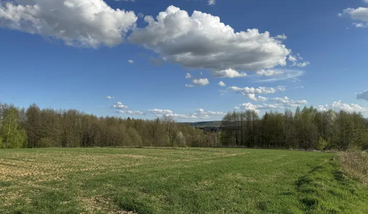 Działka budowlana Jedlicze Męcinka, ul. Partyzantów