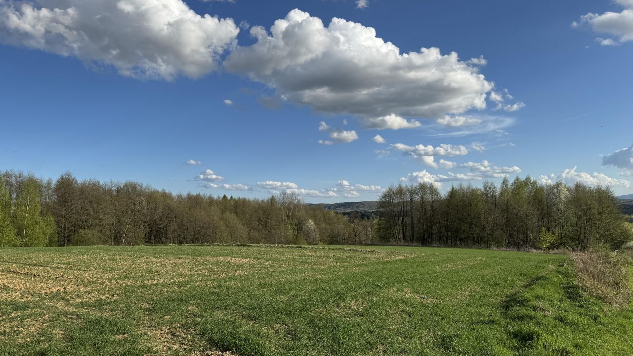 Działka budowlana Jedlicze Męcinka, ul. Partyzantów