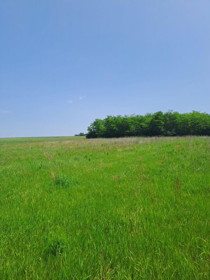 Działka budowlana Strożyska Przymiarki. Zdjęcie 6