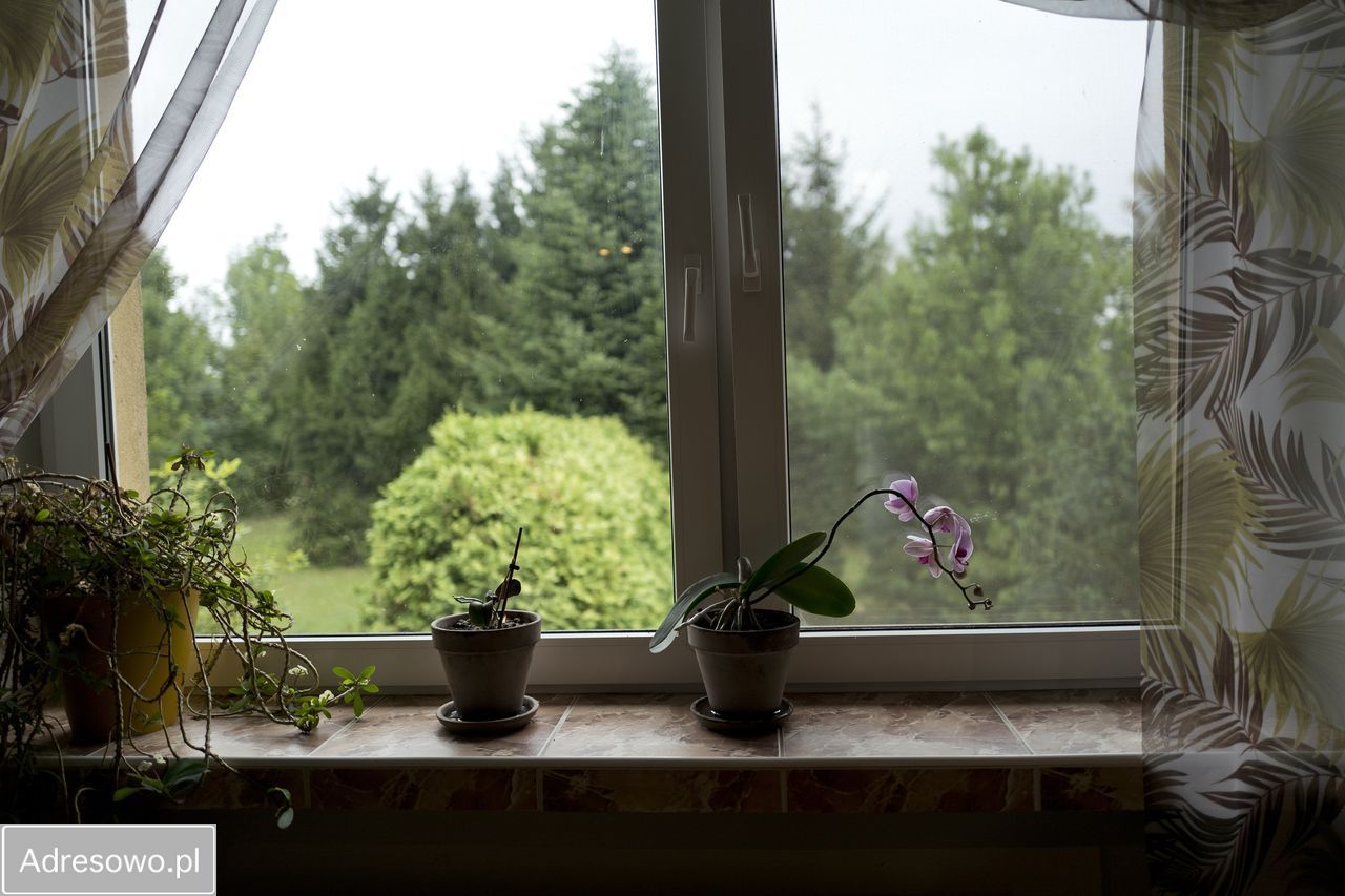 dom wolnostojący, 7 pokoi Kosino. Zdjęcie 3