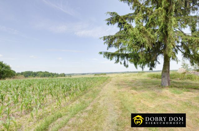 dom wolnostojący, 5 pokoi Sztabin. Zdjęcie 4