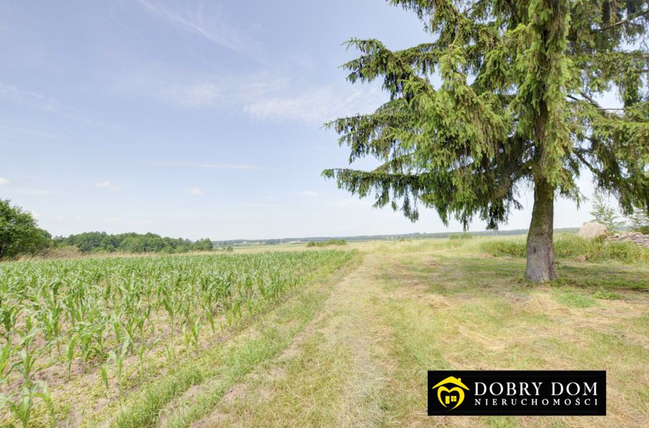 dom wolnostojący, 5 pokoi Sztabin. Zdjęcie 4