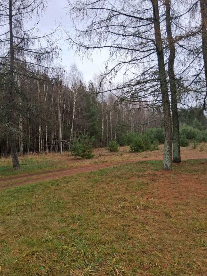 Działka budowlana Kranów. Zdjęcie 3