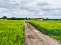 Działka rolna Mokówko. Zdjęcie 4