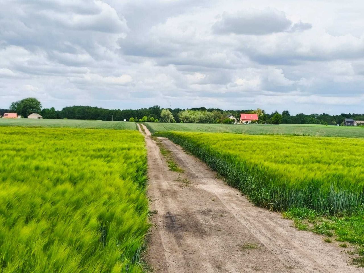 Działka rolna Mokówko. Zdjęcie 5