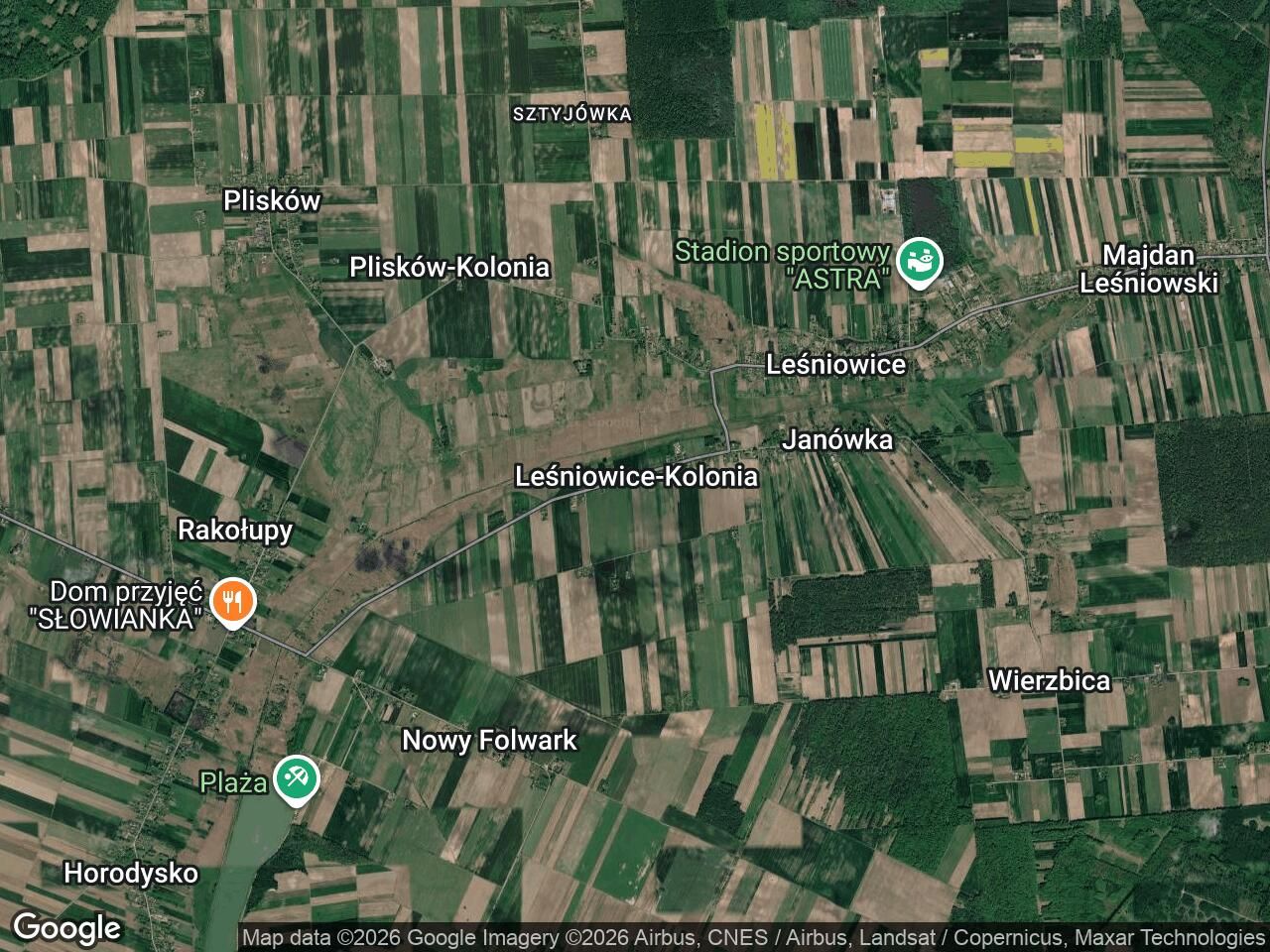 Działka rolna Leśniowice-Kolonia. Zdjęcie 1