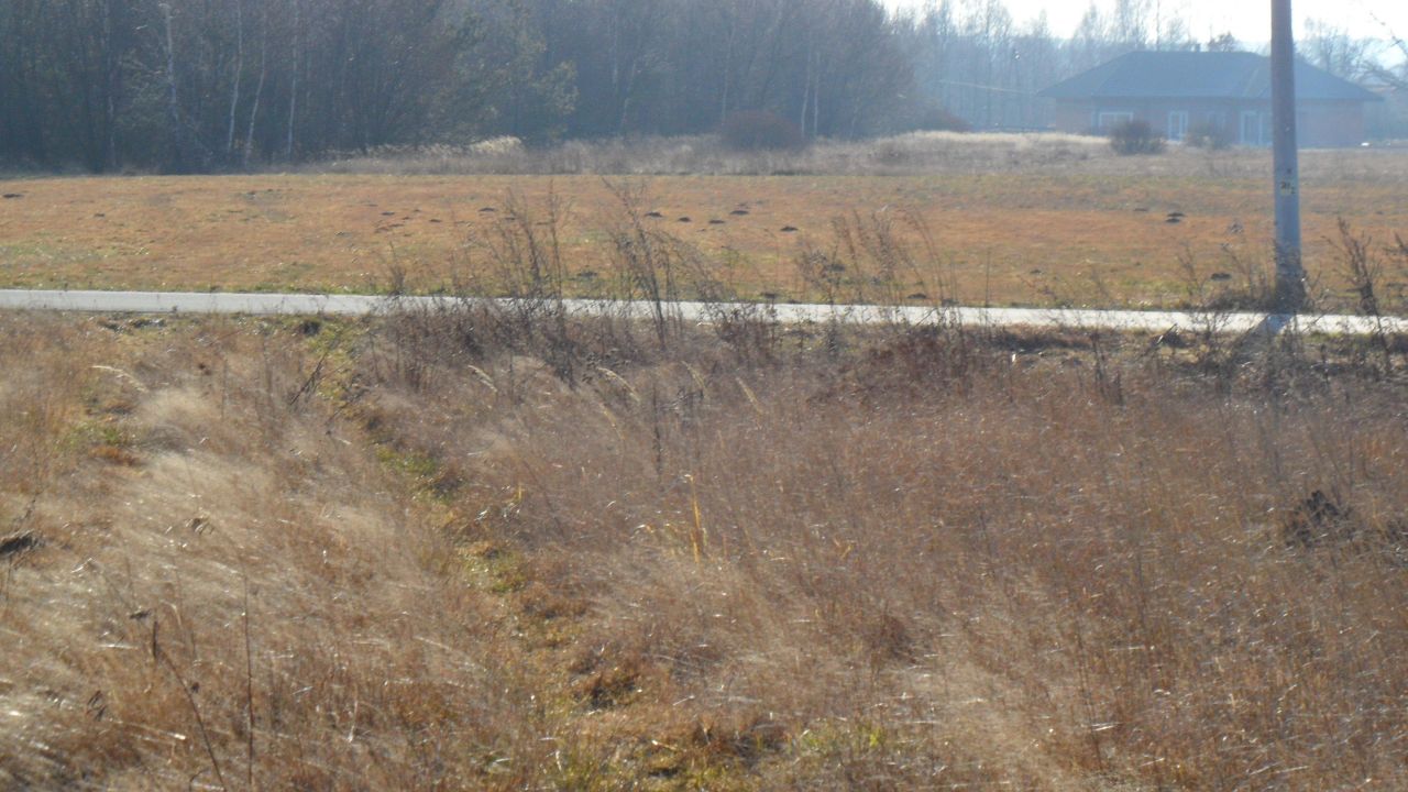 Działka budowlana Mzyki, ul. Polna. Zdjęcie 5