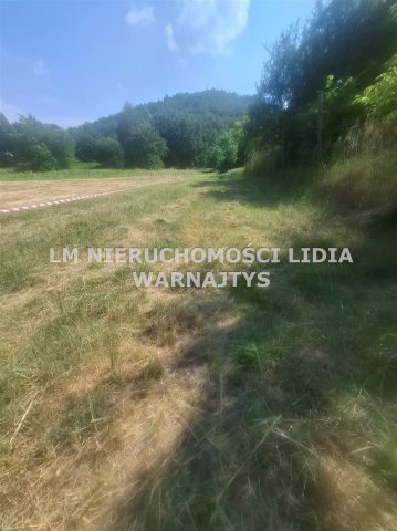Działka budowlana Czerwionka-Leszczyny Dębieńsko. Zdjęcie 14