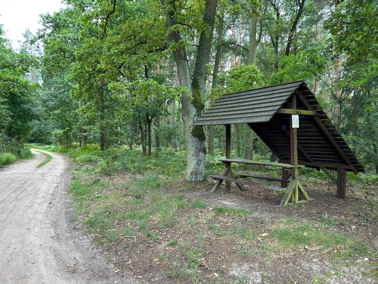 Działka rolna Rakoniewice. Zdjęcie 5