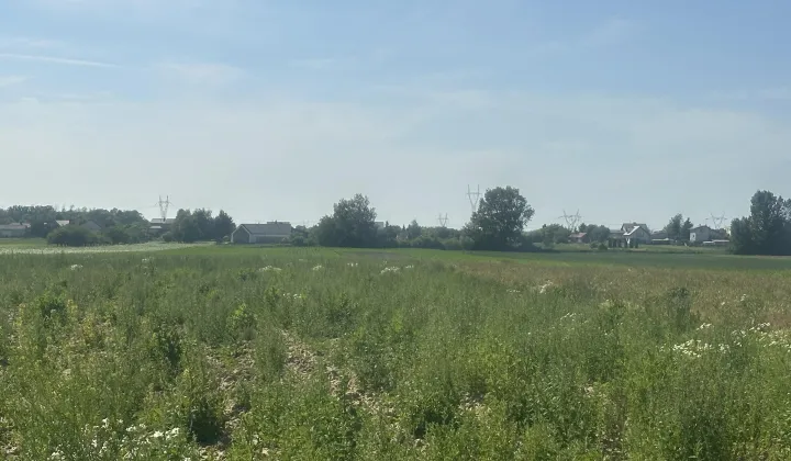 Działka inwestycyjna Wieruchów, ul. Świerkowa