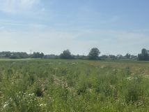 Działka inwestycyjna Wieruchów, ul. Świerkowa