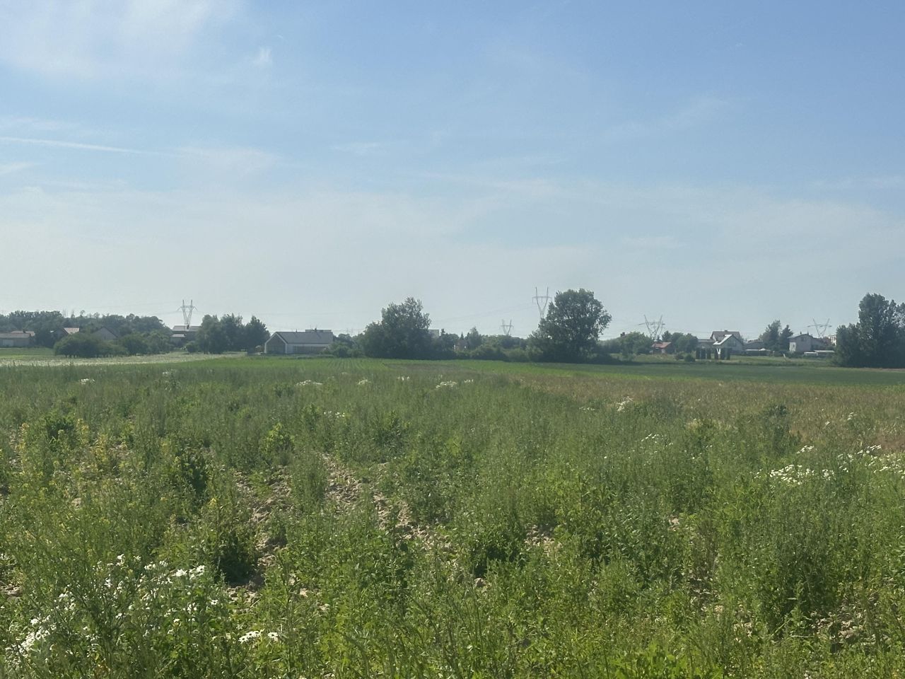 Działka inwestycyjna Wieruchów, ul. Świerkowa