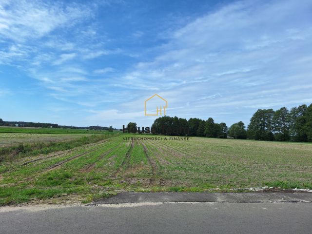 Działka rolna Toporzysko, ul. Podleśna. Zdjęcie 1